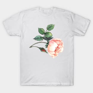 Watercolor rose T-Shirt